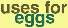 Uses for the egg